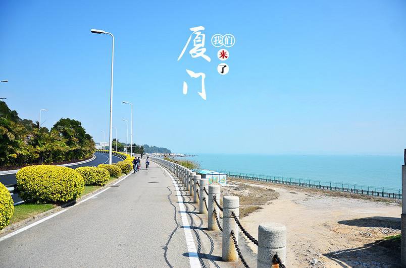 厦门旅游网站设计方案