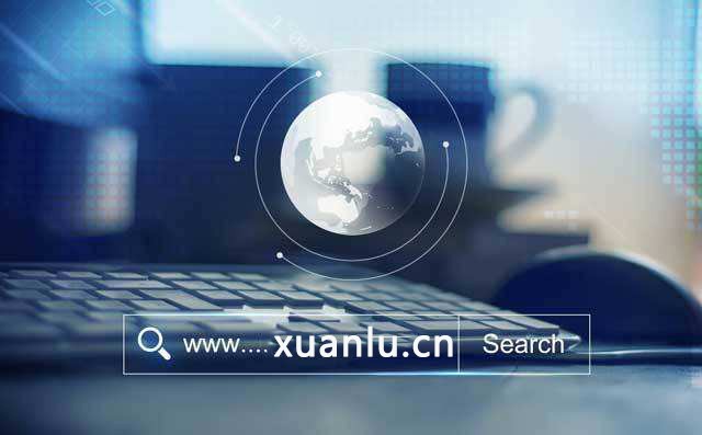 分享丨双拼域名xuanlu.net玄鹿网络官网正式启用